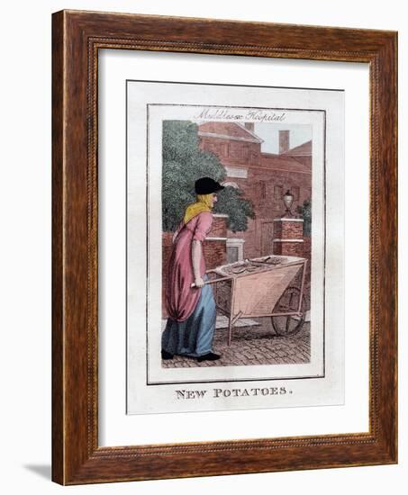 New Potatoes, Middlesex Hospital, London, 1805-null-Framed Giclee Print