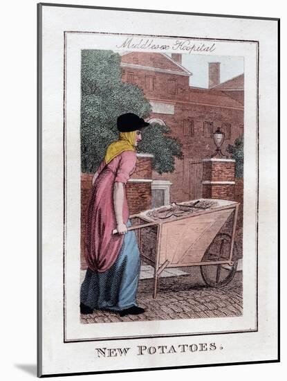 New Potatoes, Middlesex Hospital, London, 1805-null-Mounted Giclee Print