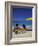 New Providence Beach View, Nassau, Bahamas, Caribbean-Greg Johnston-Framed Photographic Print