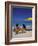 New Providence Beach View, Nassau, Bahamas, Caribbean-Greg Johnston-Framed Photographic Print