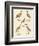 New Ratite Birds-null-Framed Giclee Print