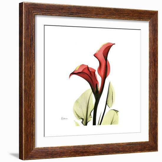 New Red Calla Lily-Albert Koetsier-Framed Premium Giclee Print