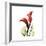 New Red Calla Lily-Albert Koetsier-Framed Premium Giclee Print