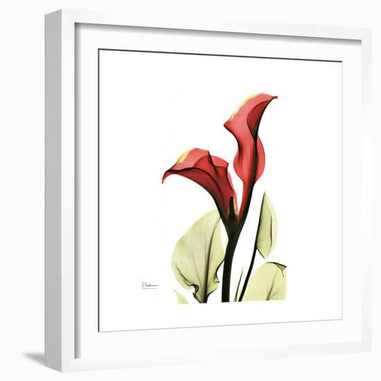 New Red Calla Lily-Albert Koetsier-Framed Premium Giclee Print