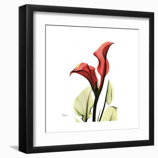 New Red Calla Lily-Albert Koetsier-Framed Art Print