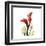 New Red Calla Lily-Albert Koetsier-Framed Art Print