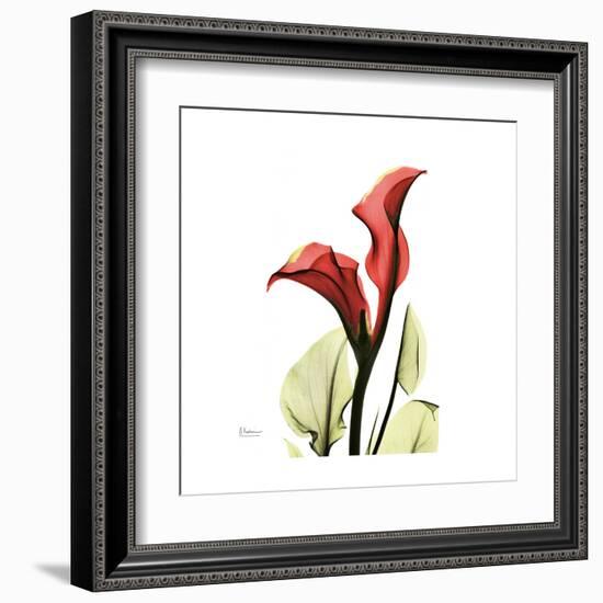 New Red Calla Lily-Albert Koetsier-Framed Art Print