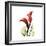 New Red Calla Lily-Albert Koetsier-Framed Art Print