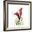 New Red Calla Lily-Albert Koetsier-Framed Art Print