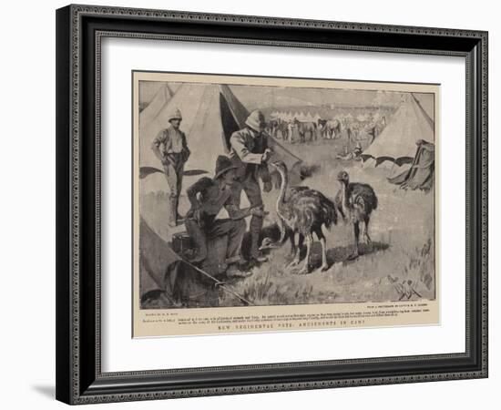 New Regimental Pets, Amusements in Camp-Alexander Stuart Boyd-Framed Giclee Print