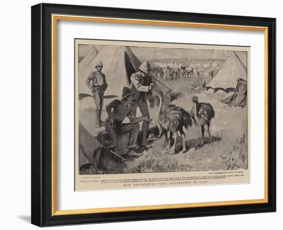 New Regimental Pets, Amusements in Camp-Alexander Stuart Boyd-Framed Giclee Print