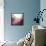 New Rose Quartz B-GI ArtLab-Framed Premier Image Canvas displayed on a wall