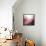 New Rose Quartz B-GI ArtLab-Framed Premier Image Canvas displayed on a wall