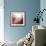 New Rose Quartz B-GI ArtLab-Framed Giclee Print displayed on a wall