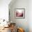 New Rose Quartz B-GI ArtLab-Framed Giclee Print displayed on a wall