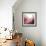 New Rose Quartz B-GI ArtLab-Framed Giclee Print displayed on a wall