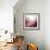 New Rose Quartz B-GI ArtLab-Framed Giclee Print displayed on a wall