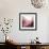 New Rose Quartz B-GI ArtLab-Framed Giclee Print displayed on a wall