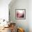 New Rose Quartz B-GI ArtLab-Framed Giclee Print displayed on a wall