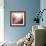 New Rose Quartz B-GI ArtLab-Framed Giclee Print displayed on a wall