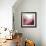 New Rose Quartz B-GI ArtLab-Framed Giclee Print displayed on a wall