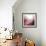 New Rose Quartz B-GI ArtLab-Framed Giclee Print displayed on a wall