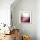 New Rose Quartz B-GI ArtLab-Framed Giclee Print displayed on a wall