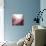 New Rose Quartz B-GI ArtLab-Mounted Giclee Print displayed on a wall