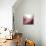 New Rose Quartz B-GI ArtLab-Mounted Giclee Print displayed on a wall