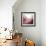 New Rose Quartz B-GI ArtLab-Framed Giclee Print displayed on a wall