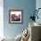 New Rose Quartz-GI ArtLab-Framed Giclee Print displayed on a wall