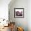 New Rose Quartz-GI ArtLab-Framed Giclee Print displayed on a wall