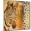 New Safari on Gold Square I-Patricia Pinto-Mounted Art Print