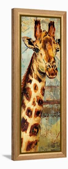 New Safari on Teal I-Patricia Pinto-Framed Stretched Canvas