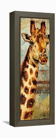 New Safari on Teal I-Patricia Pinto-Framed Stretched Canvas