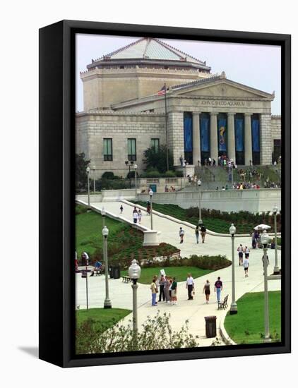New Sidewalks and Landscaping Give Rise to the Shedd Aquarium-null-Framed Premier Image Canvas
