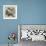 New Silkworm Moth (Saturnia Cynthia), Caterpillar, and Cocoon-null-Framed Giclee Print displayed on a wall