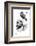 New Skull-Balazs Solti-Framed Premium Giclee Print