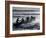 New South Wales, A Surfboat Crew Battles Through Waves at Cronulla Beach in Sydney, Australia-Andrew Watson-Framed Photographic Print