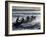 New South Wales, A Surfboat Crew Battles Through Waves at Cronulla Beach in Sydney, Australia-Andrew Watson-Framed Photographic Print