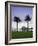 New South Wales, Sydney, Sydney Opera House Through Palms, Australia-Walter Bibikow-Framed Photographic Print