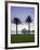 New South Wales, Sydney, Sydney Opera House Through Palms, Australia-Walter Bibikow-Framed Photographic Print