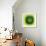 New Spectral Halo II-Sydney Edmunds-Framed Giclee Print displayed on a wall