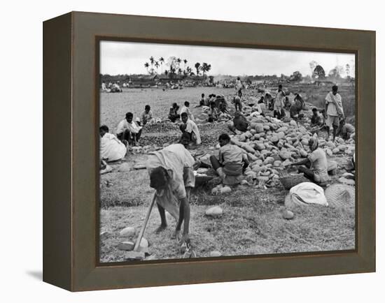 New Taxi-Strip Foundations are Laid by Natives of Assam Valley, Doubling China-India Air Traffic-William Vandivert-Framed Premier Image Canvas