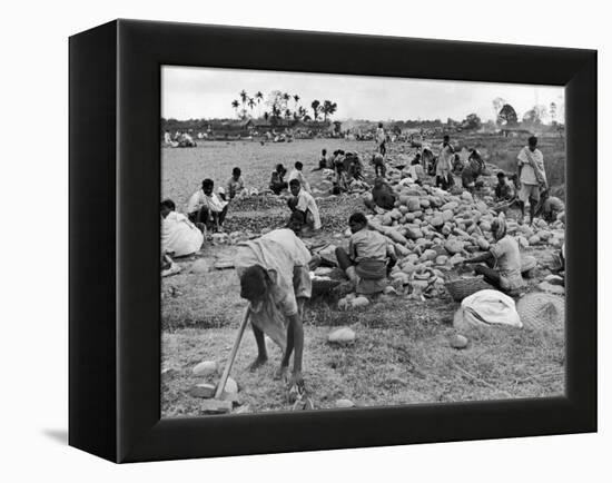 New Taxi-Strip Foundations are Laid by Natives of Assam Valley, Doubling China-India Air Traffic-William Vandivert-Framed Premier Image Canvas