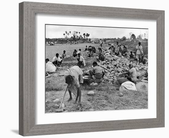 New Taxi-Strip Foundations are Laid by Natives of Assam Valley, Doubling China-India Air Traffic-William Vandivert-Framed Photographic Print