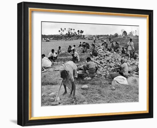 New Taxi-Strip Foundations are Laid by Natives of Assam Valley, Doubling China-India Air Traffic-William Vandivert-Framed Photographic Print