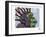New Thoughts Branching Out-Ric Stultz-Framed Giclee Print