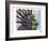 New Thoughts Branching Out-Ric Stultz-Framed Giclee Print