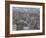 New Town from Edinburgh Castle, Scotland-Cindy Miller Hopkins-Framed Photographic Print